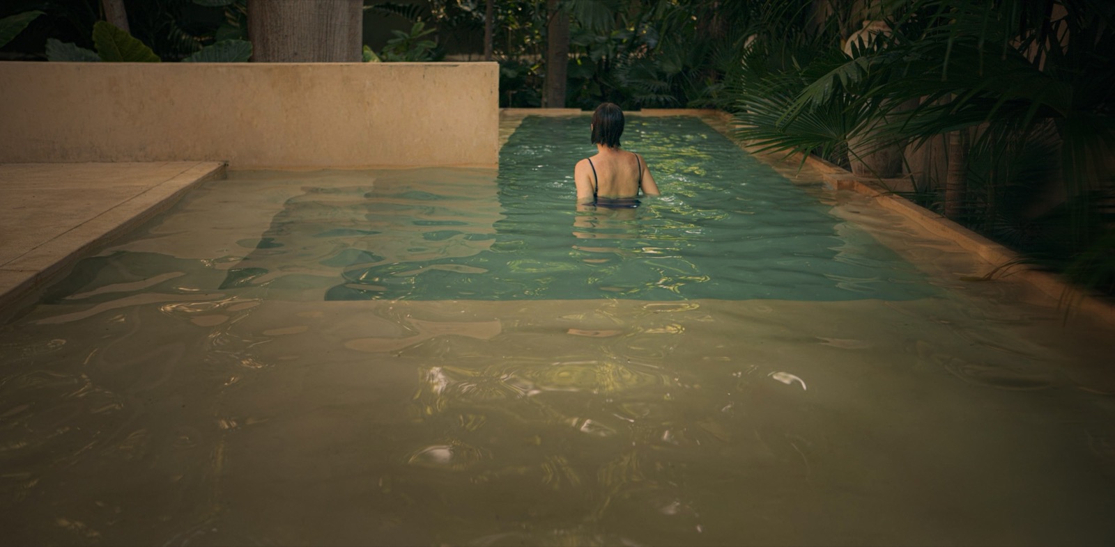 La alberca — elevated pool beneath the ceiba canopy, ringed by native garden