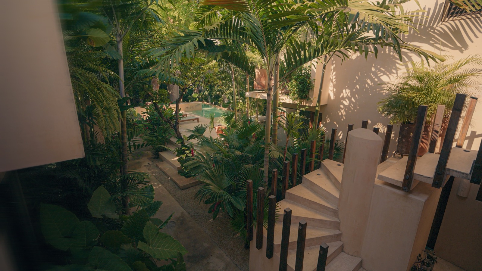 El jardín — native garden of ceiba, chakah, huaya and palms