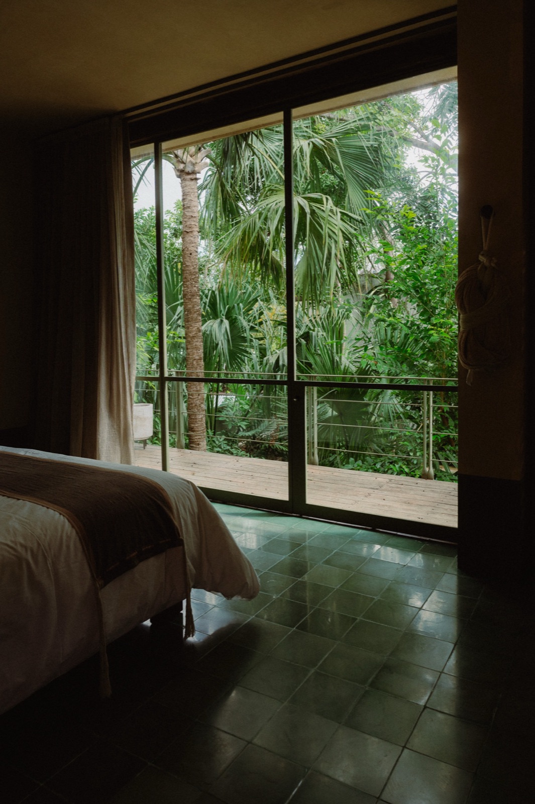 Jungle suite — floor-to-ceiling glass to the canopy