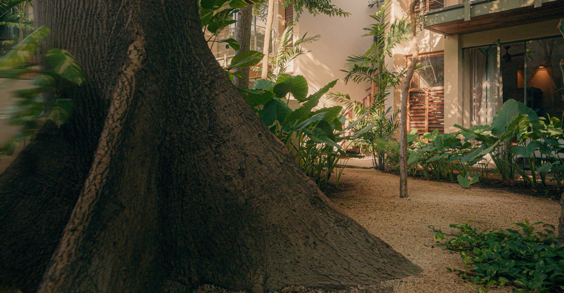 El jardín de Casa Querida al pie de la ceiba sagrada — palmas, monsteras y sendero de grava en el Centro Histórico de Mérida