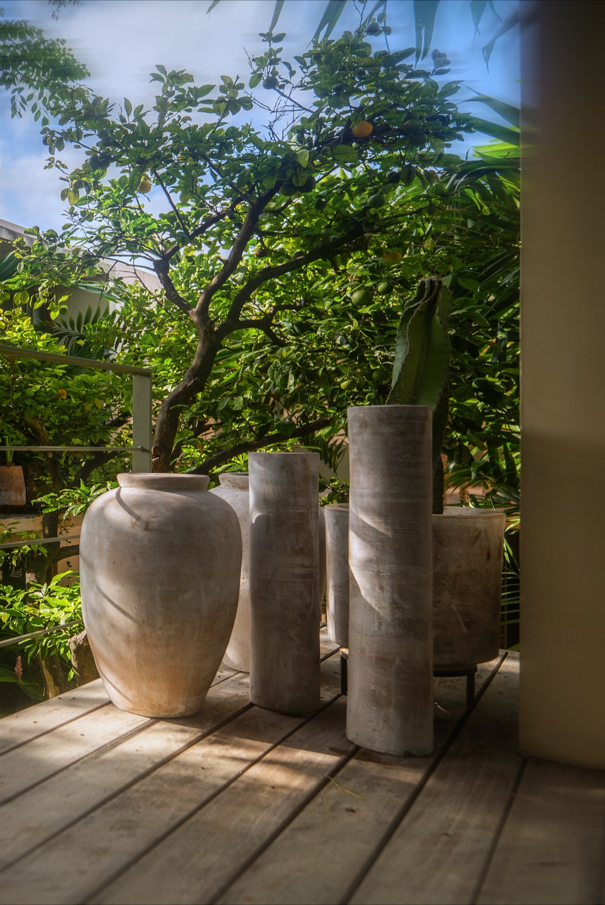 A corner of the planted garden at Casa Querida, with the sour-orange tree and stone urns on the deck