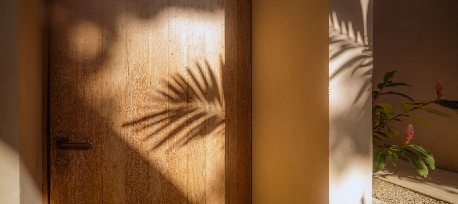 Palm shadow cast on plaster through a doorway
