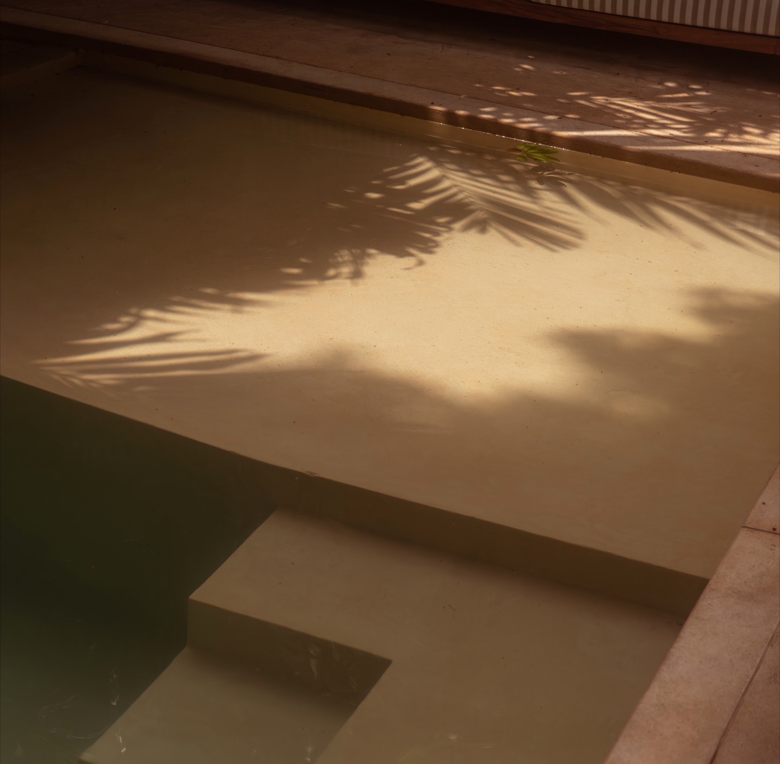 Palm shadows falling across the pool water